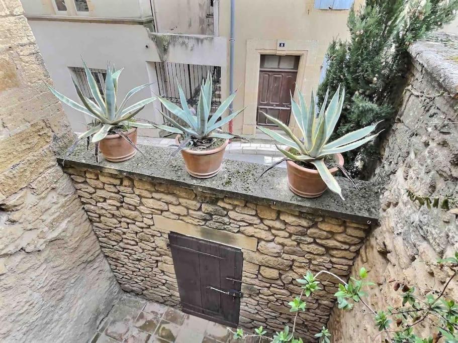 Chez Lydia - Loft Cosy, Depart Canoe A Pied, Proche Pont-Du-Gard Et Uzes Remoulins Εξωτερικό φωτογραφία